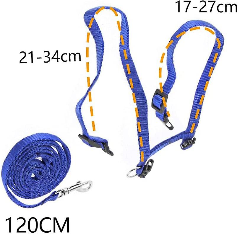 Foto 2 pulgar | Juego De Arneses Para Gatos Huoguo De 2 Piezas Con Correa Para Gatos De Nailon - Venta Internacional.