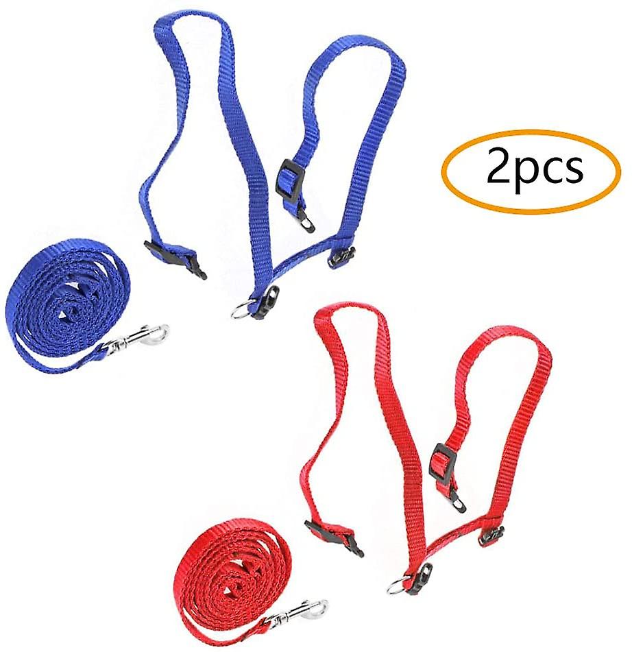 Foto 3 pulgar | Juego De Arneses Para Gatos Huoguo De 2 Piezas Con Correa Para Gatos De Nailon - Venta Internacional.