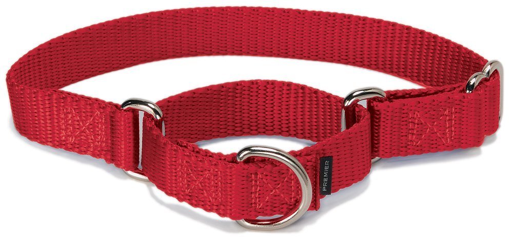 Collar Martingale Petsafe 3/4 Mediano Rojo Para Perros - Venta Internacional.