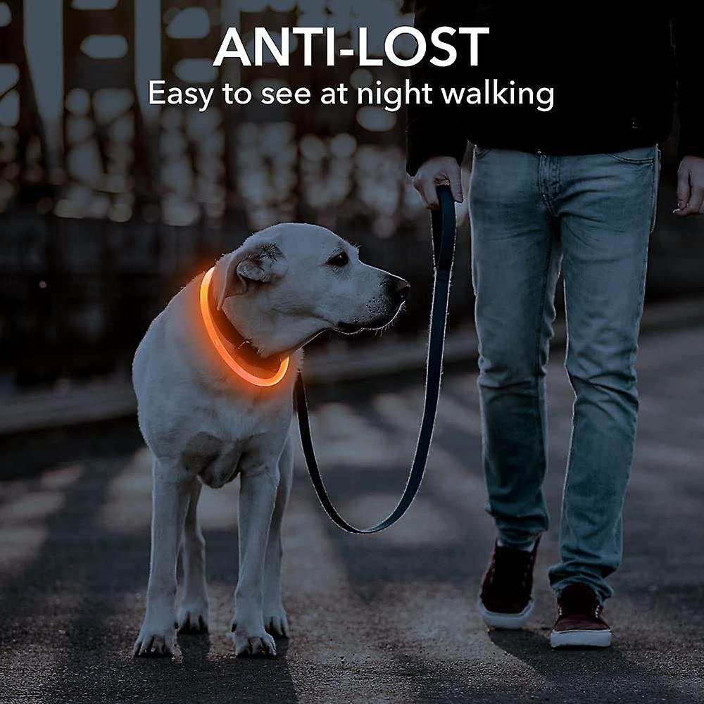 Foto 2 pulgar | Collar Led Para Perros Huoguo Safety Christmas Recargable - Venta Internacional.