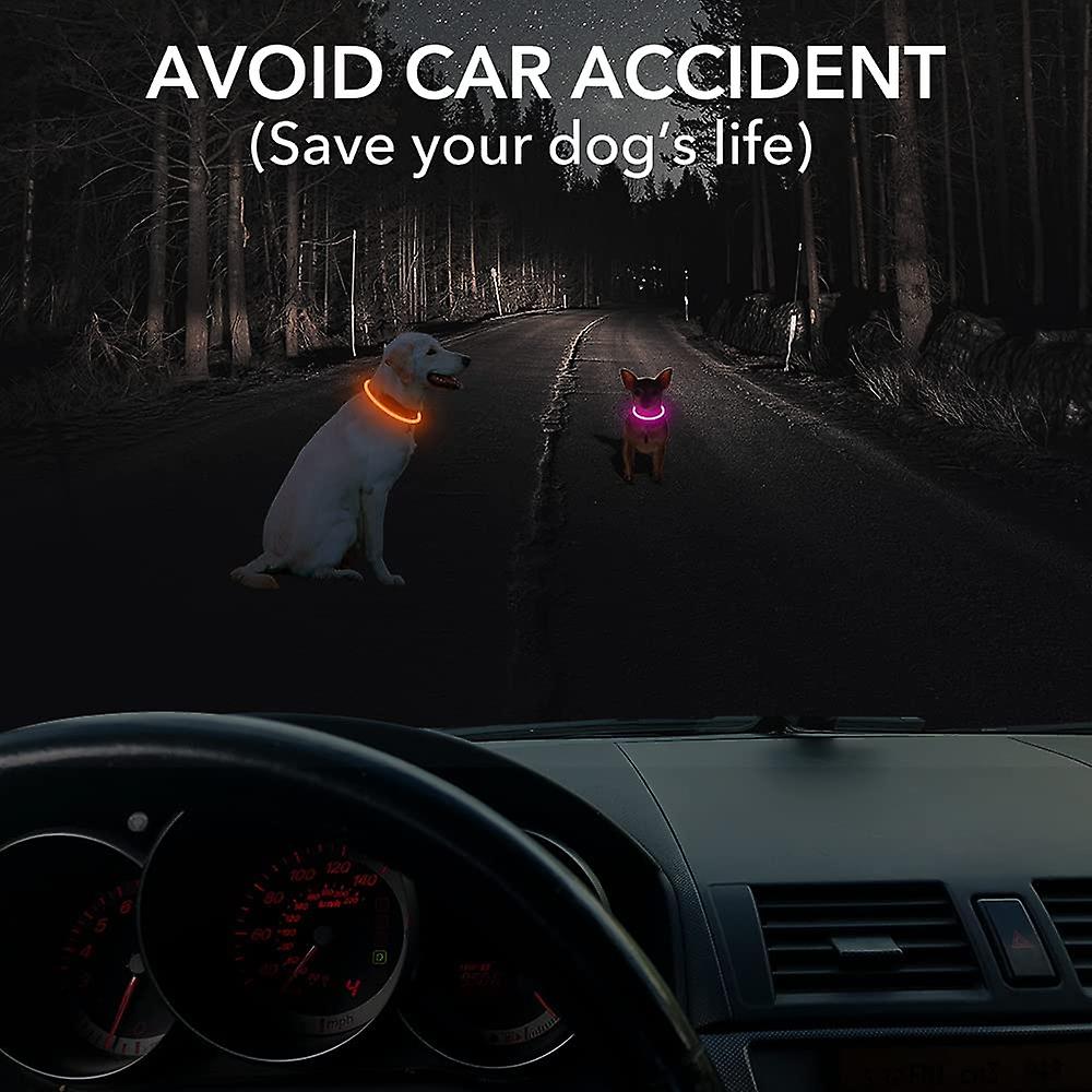 Foto 3 pulgar | Collar Led Para Perros Huoguo Safety Christmas Recargable - Venta Internacional.