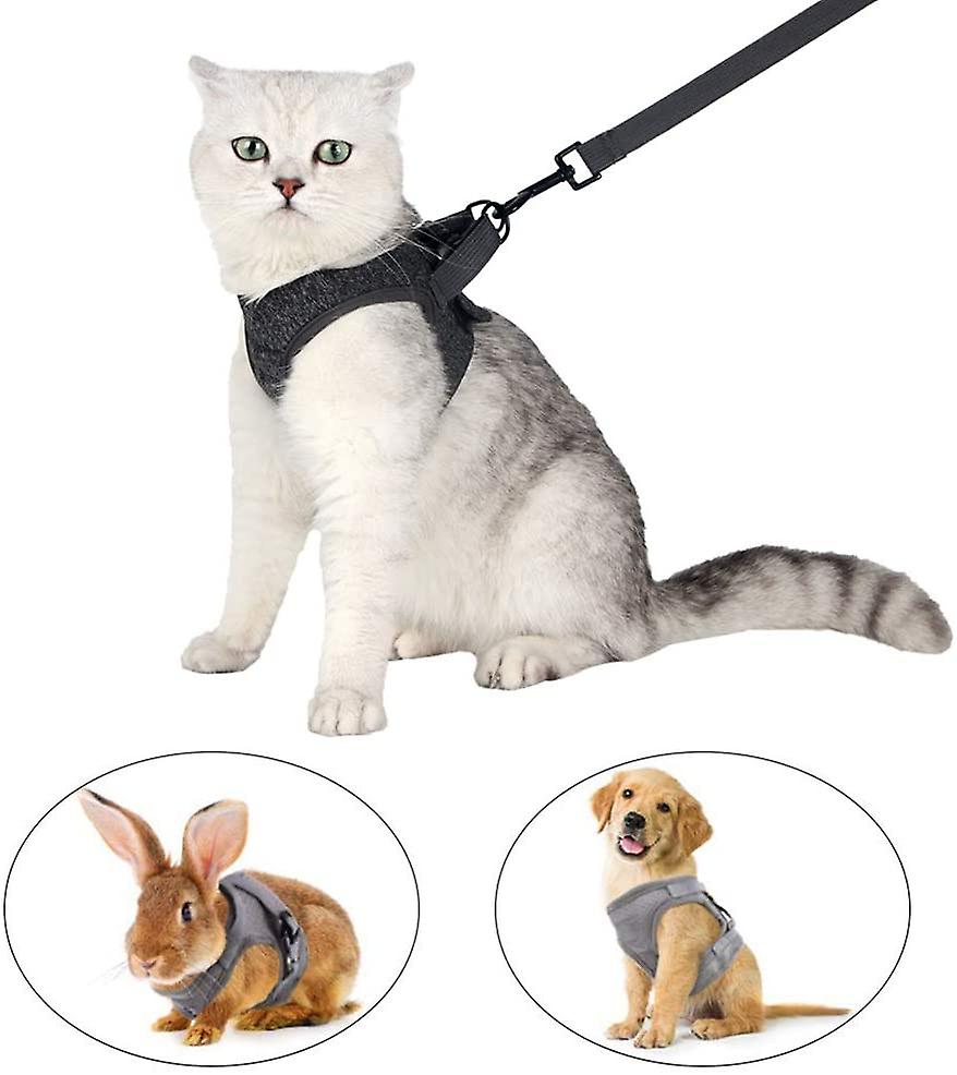 Foto 5 pulgar | Juego De Arneses Para Gatos Huoguo Ultraligero Con Correa Y Collar De Gatito - Venta Internacional.