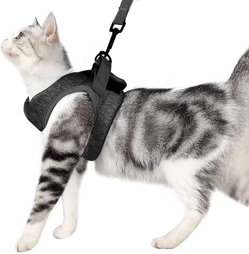Foto 6 pulgar | Juego De Arneses Para Gatos Huoguo Ultraligero Con Correa Y Collar De Gatito - Venta Internacional.