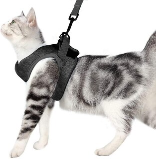 Foto 5 | Juego De Arneses Para Gatos Huoguo Ultraligero Con Correa Y Collar De Gatito - Venta Internacional.