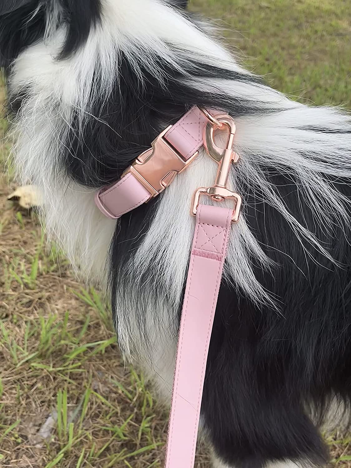 Foto 5 | Conjunto De Collar Y Correa Para Perro Con Hebilla De Piel Vegana En Oro Rosa - Venta Internacional.