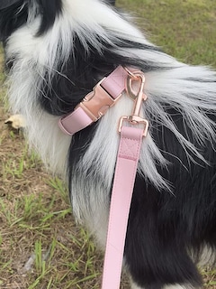 Foto 5 | Conjunto De Collar Y Correa Para Perro Con Hebilla De Piel Vegana En Oro Rosa - Venta Internacional.