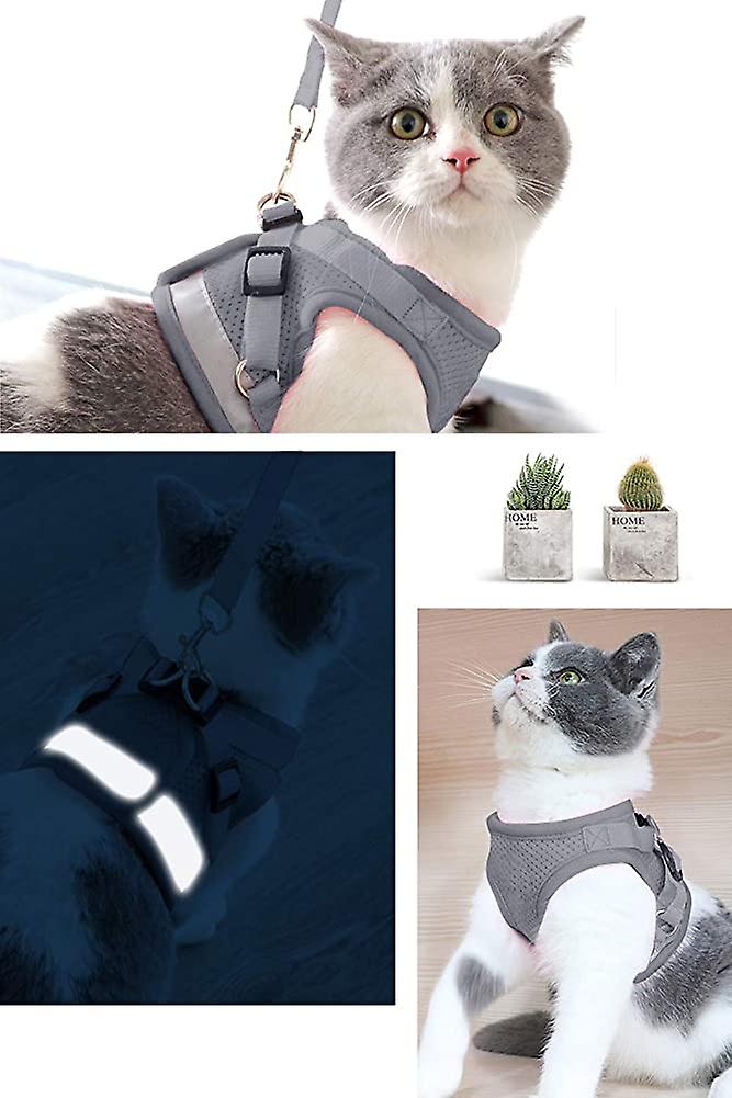 Foto 4 | Arnés Para Gatos Huoguo Correa A Prueba De Fugas Para Gatos - Venta Internacional.