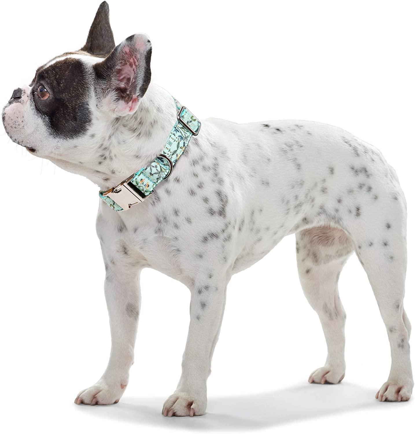 Foto 6 pulgar | Collar De Perro Jieyou Para Perros Pequeños, Medianos Y Grandes, Ajustable - Venta Internacional.