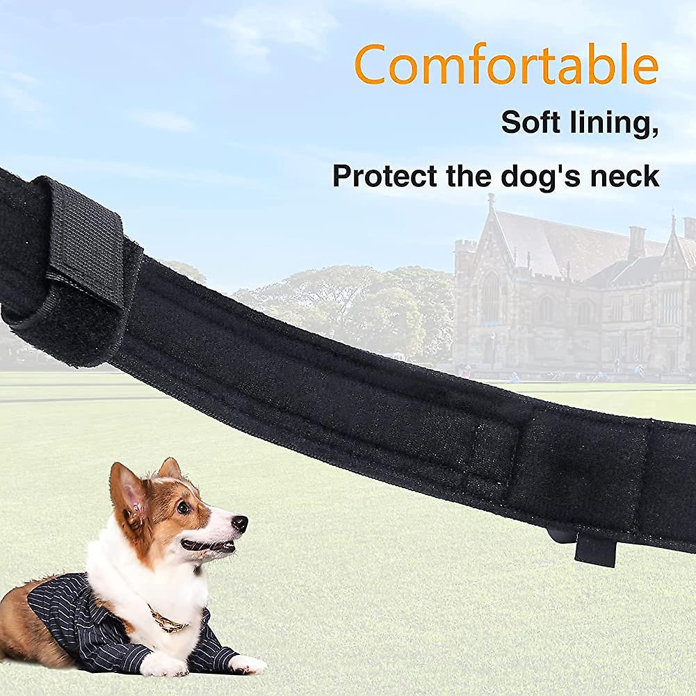 Foto 4 pulgar | Collar De Perro Táctico De Nylon Para Perros Grandes - Huoguo - Venta Internacional.