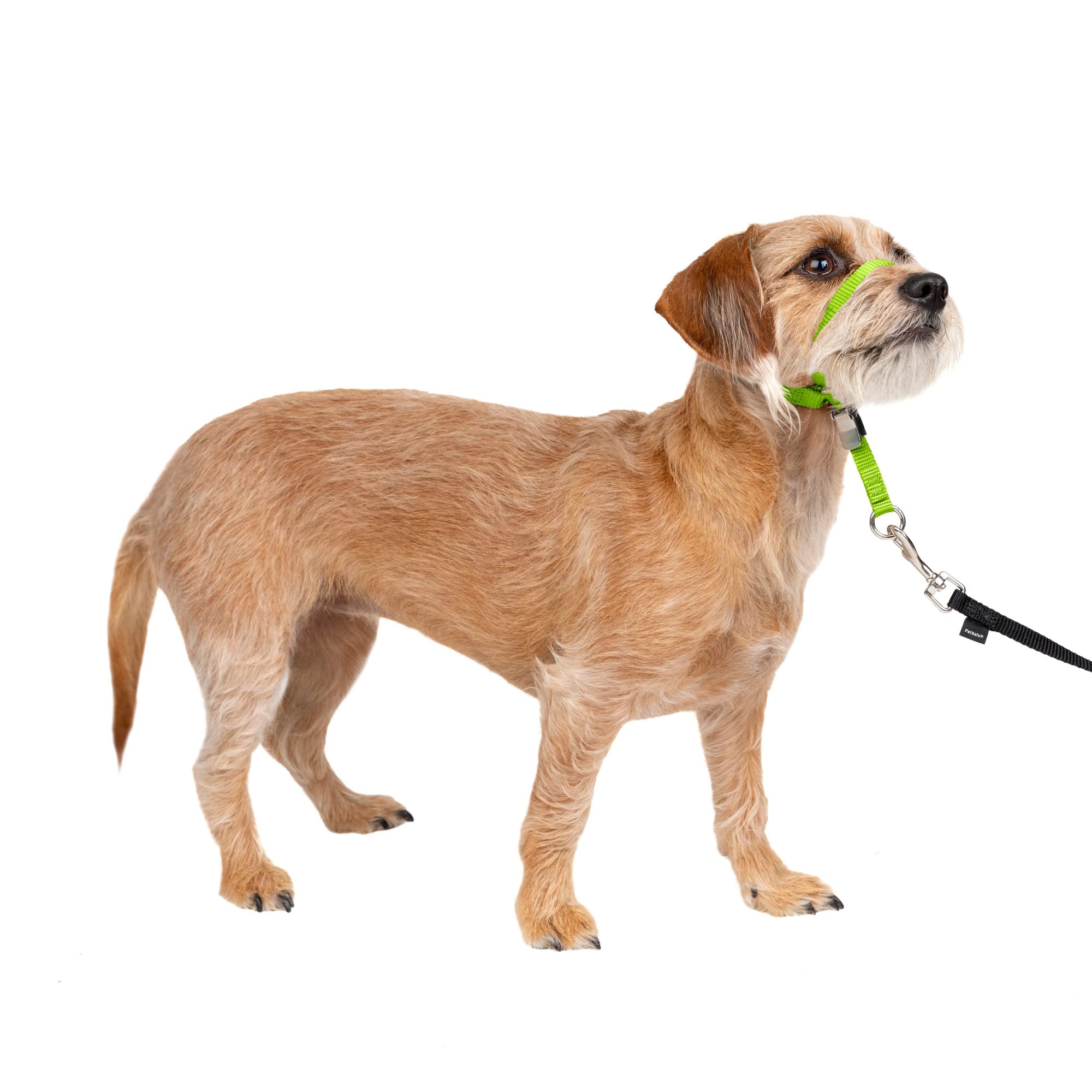 Collar Para Perro Petsafe Gentle Leader No-pull Small Silver - Venta Internacional.
