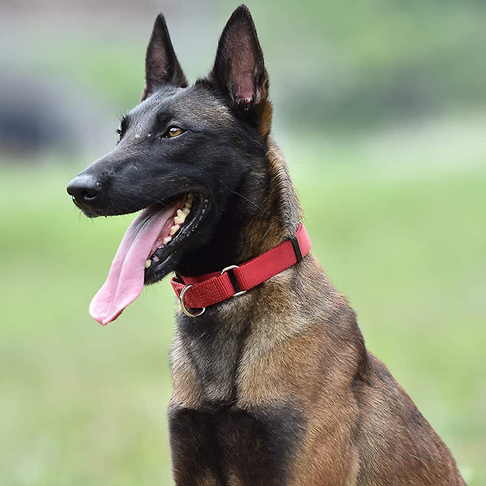 Foto 4 | Collar Para Perro Huoguo, Resistente, De Nailon, Antiescape, Martingala - Venta Internacional.