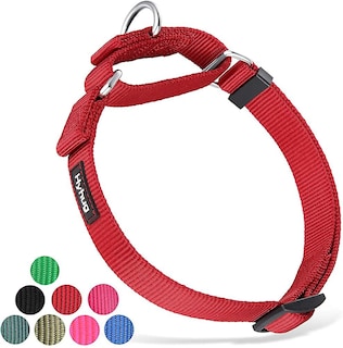 Foto 5 | Collar Para Perro Huoguo, Resistente, De Nailon, Antiescape, Martingala - Venta Internacional.