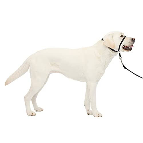 Collar De Cabeza Petsafe Gentle Leader No-pull Para Perro, Negro, Grande - Venta Internacional.