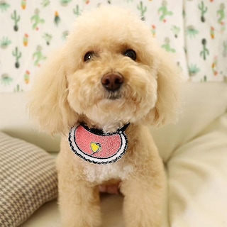 Foto 1 | Collar Para Perro Pequeño Bird Cage Bird Baths Huoguo Love Pink - Venta Internacional.