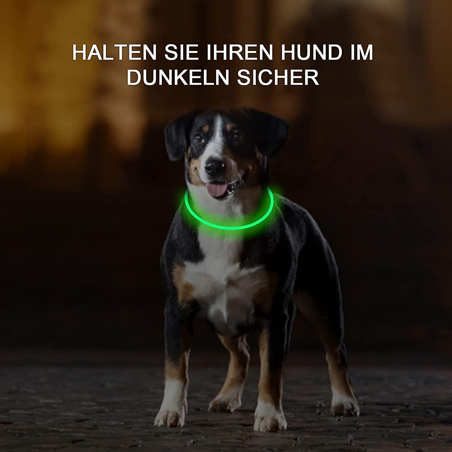 Foto 2 pulgar | Collares Led Para Perros, Paquete De 2, Recargables, Impermeables, Huoguo - Venta Internacional.