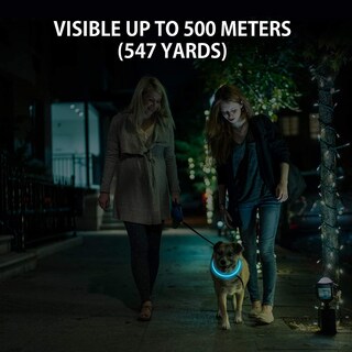 Foto 2 | Collares Led Para Perros, Paquete De 2, Recargables, Impermeables, Huoguo - Venta Internacional.