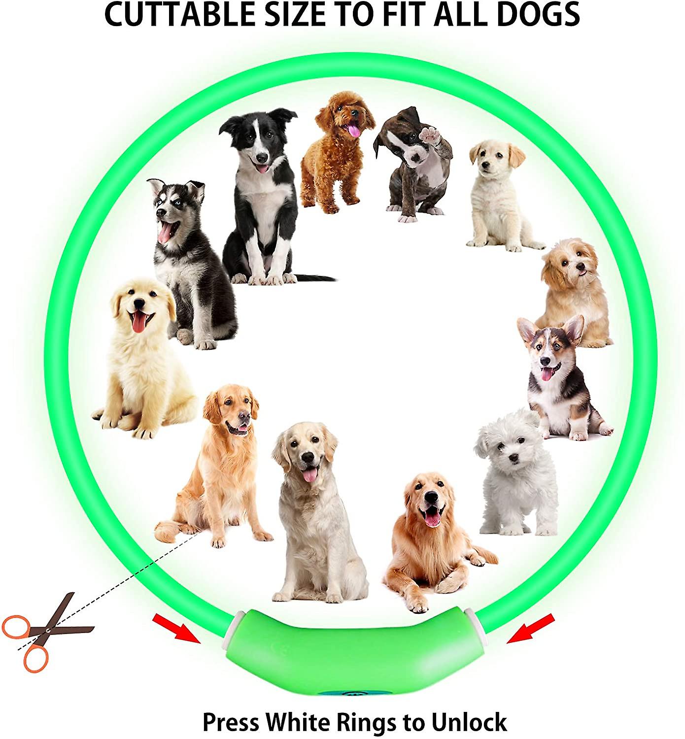 Foto 4 pulgar | Collares Led Para Perros, Paquete De 2, Recargables, Impermeables, Huoguo - Venta Internacional.