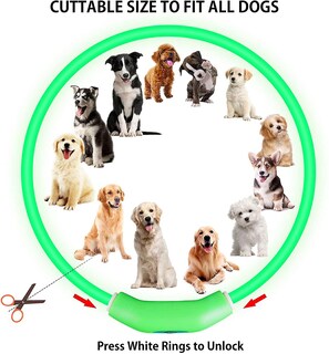 Foto 3 | Collares Led Para Perros, Paquete De 2, Recargables, Impermeables, Huoguo - Venta Internacional.