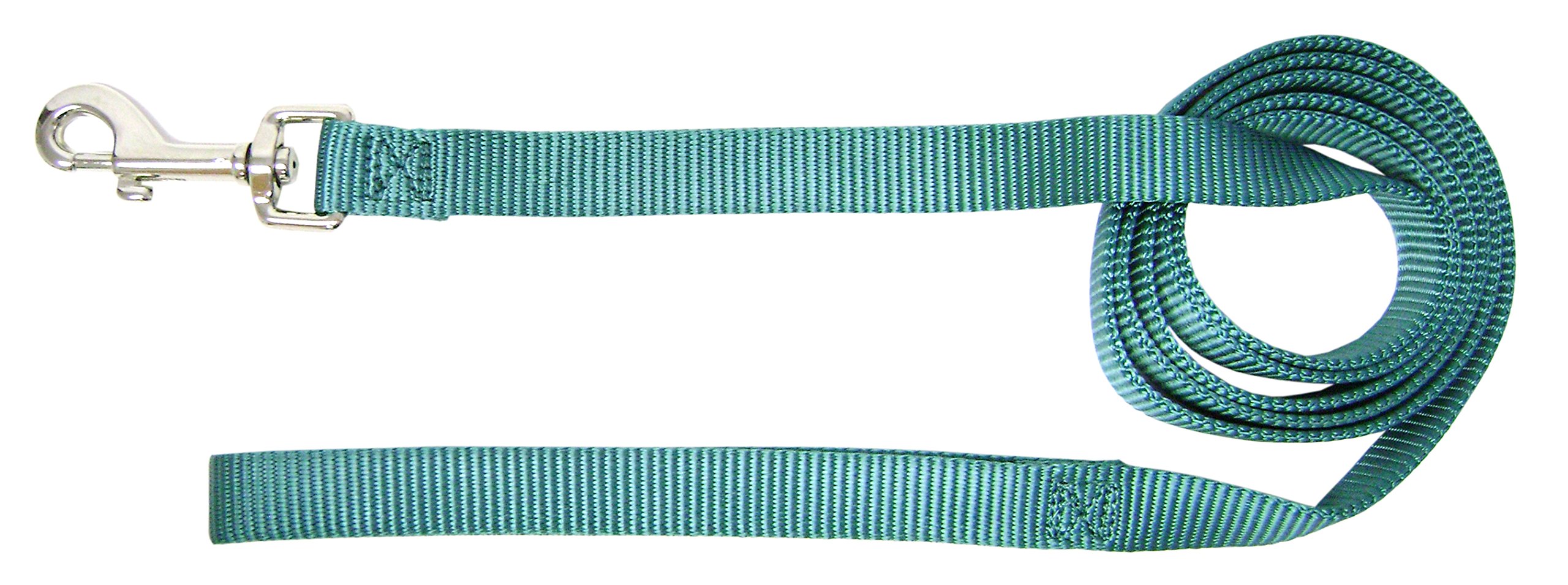 Correa Para Perros Hamilton Individual, Gruesa, Nailon, 2,54 Cm X 1,83 M, Color Verde Azulado - Venta Internacional.