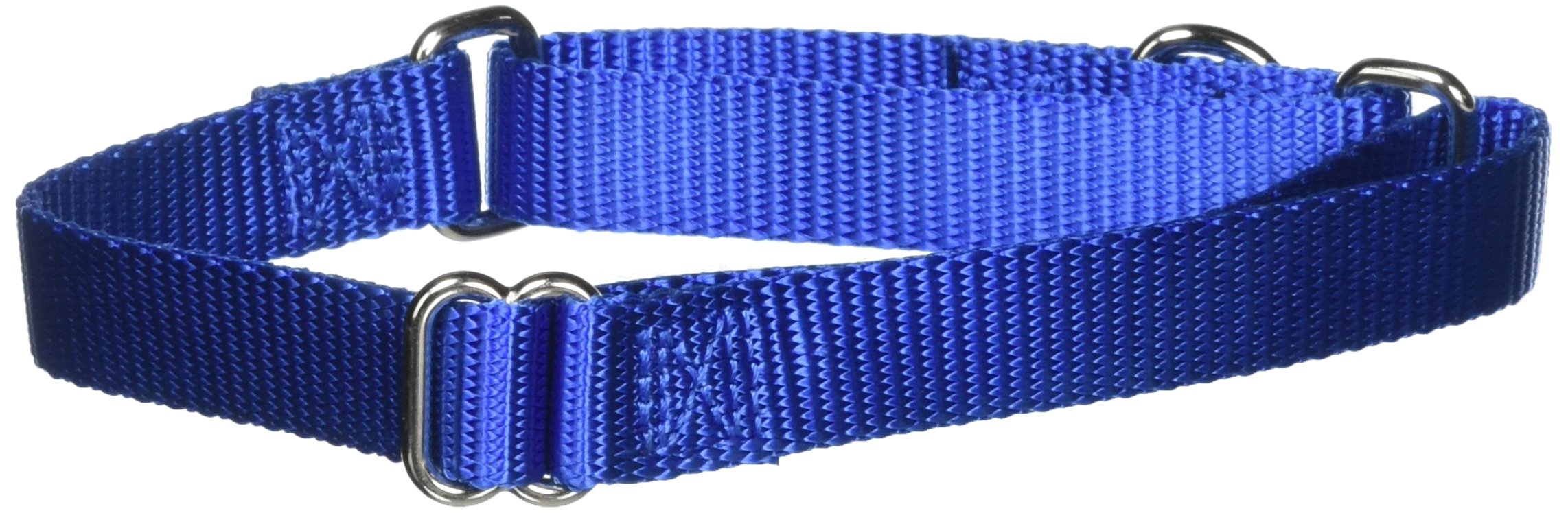 Collar Martingale Petsafe, Azul Real, 3/4 Pulgadas, Tamaño Mediano - Venta Internacional.