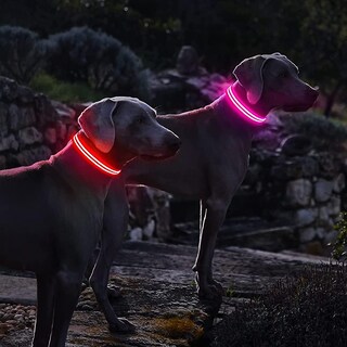 Foto 1 | Collar Para Perro Light Up Huoguo, Recargable Por Usb, Resistente Al Agua - Venta Internacional.
