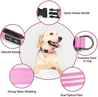 Foto 3 | Collar Para Perro Light Up Huoguo, Recargable Por Usb, Resistente Al Agua - Venta Internacional.