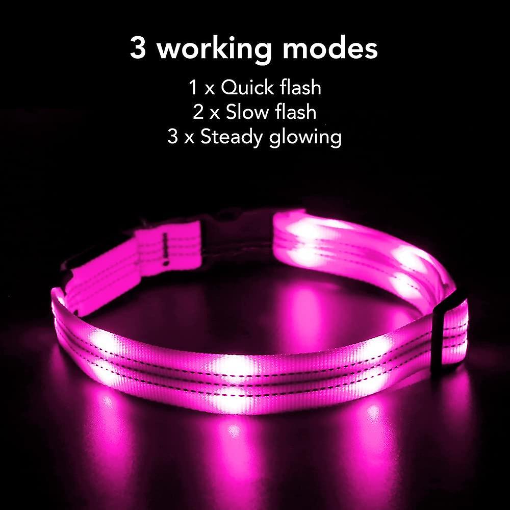 Foto 2 | Collar Led Para Perros Huoguo Usb Recargable A Prueba De Agua - Venta Internacional.