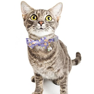 Foto 7 | Collar De Gato Faygarsle Cute Con Pajarita Con Campana Breakaway, Paquete De 2 - Venta Internacional.