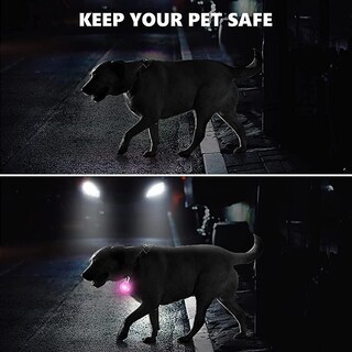Foto 4 | Las Luces Para Perros Se Enganchan En Serda-run Para La Oscuridad Con 6 Modos Parpadeantes - Venta Internacional.