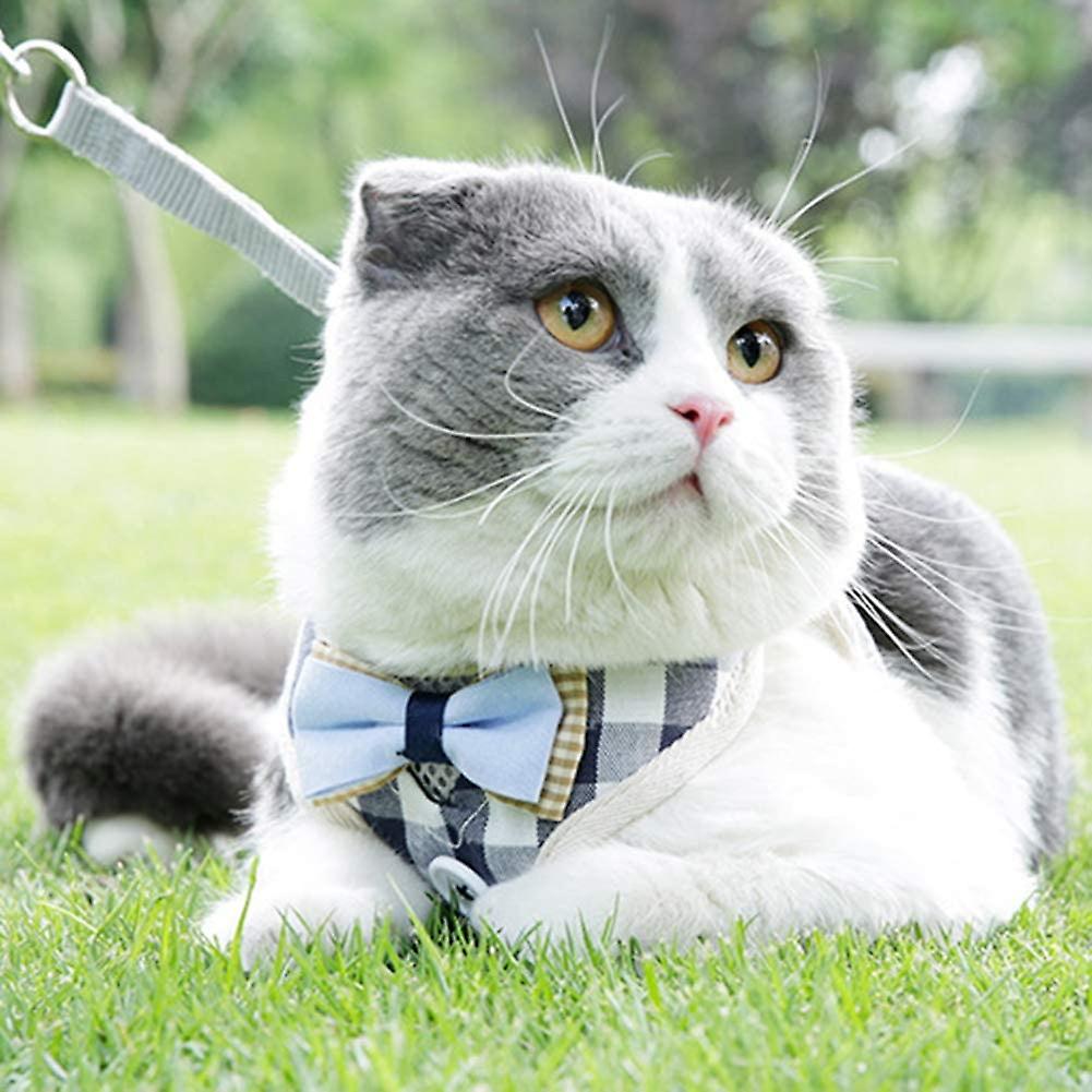 Foto 4 pulgar | Juego De Arnés Y Correas Para Correr Para Gatos - Huoguo - Venta Internacional.