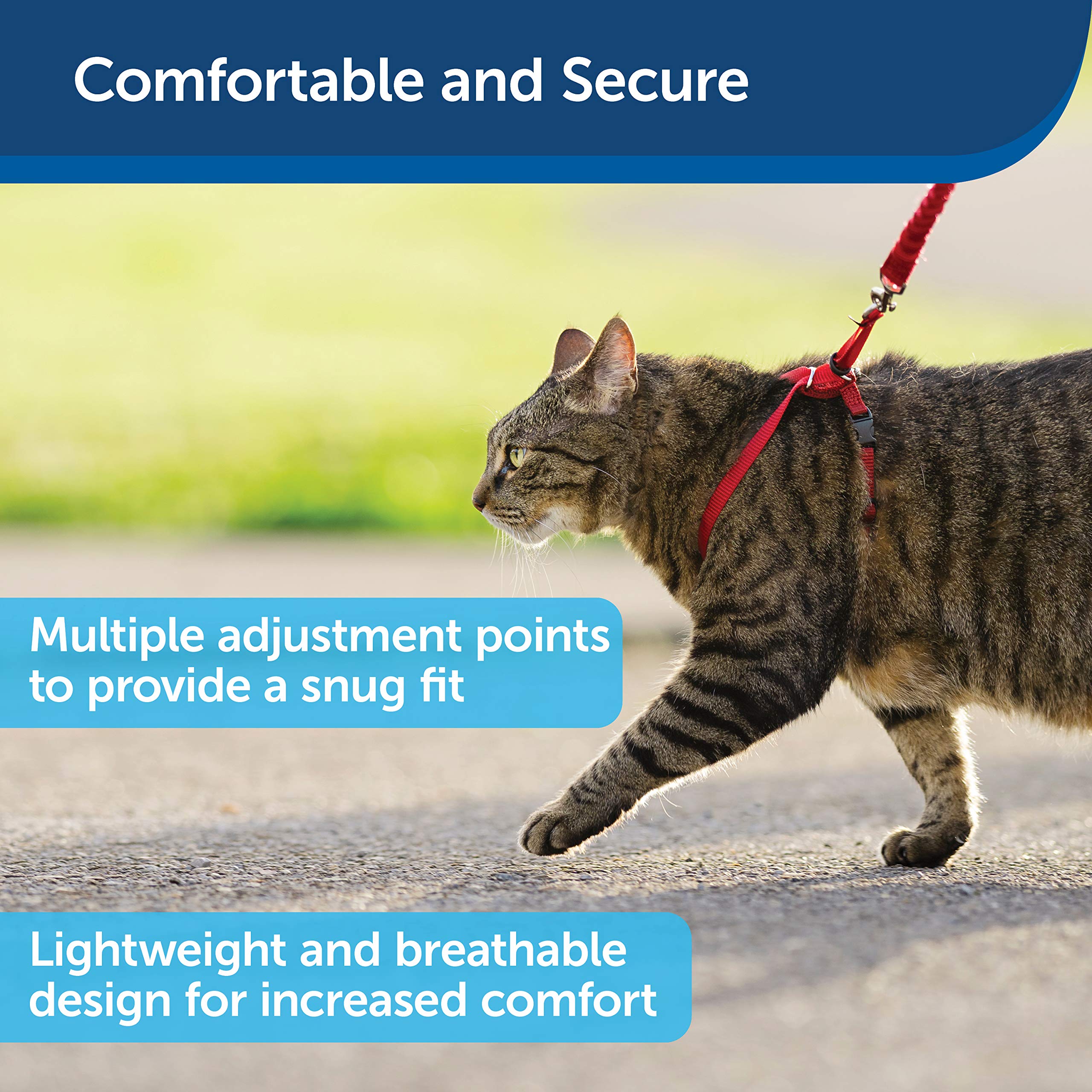 Foto 4 pulgar | Arnés Y Correa Elástica Para Gatos Petsafe Come With Me Kitty - Venta Internacional.
