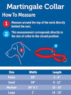 Foto 3 | Collar Martingale Petsafe 1 Mediano Para Perros, Color Negro - Venta Internacional.