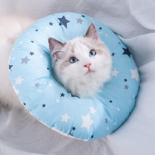 Foto 4 | Collar De Recuperación Para Gatos Huoguo, Ajustable, Para Mascotas De 2 Kg - Venta Internacional.