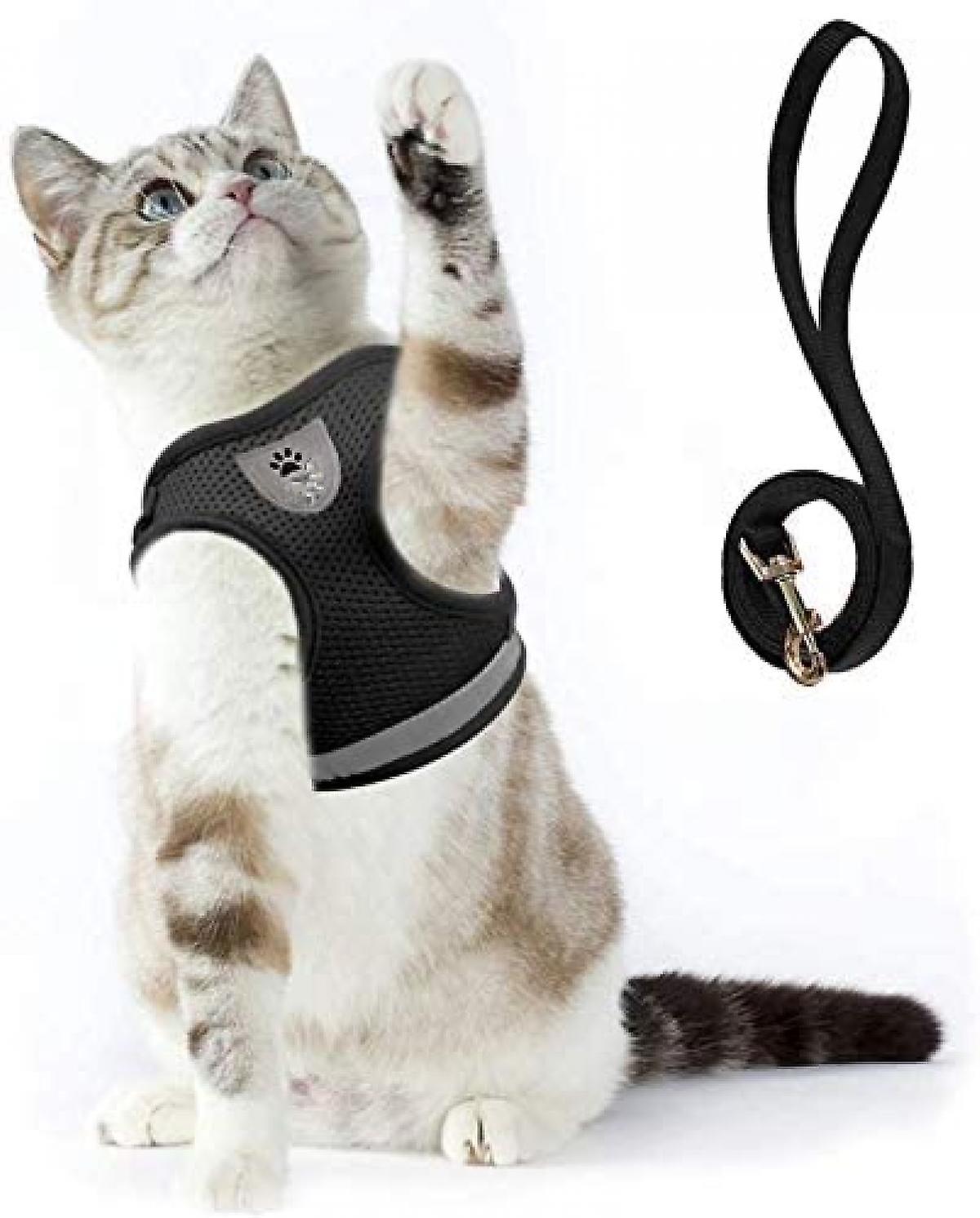 Set De Arnés Y Correa Para Gato Y Perro Pequeño - Huoguo - Venta Internacional.