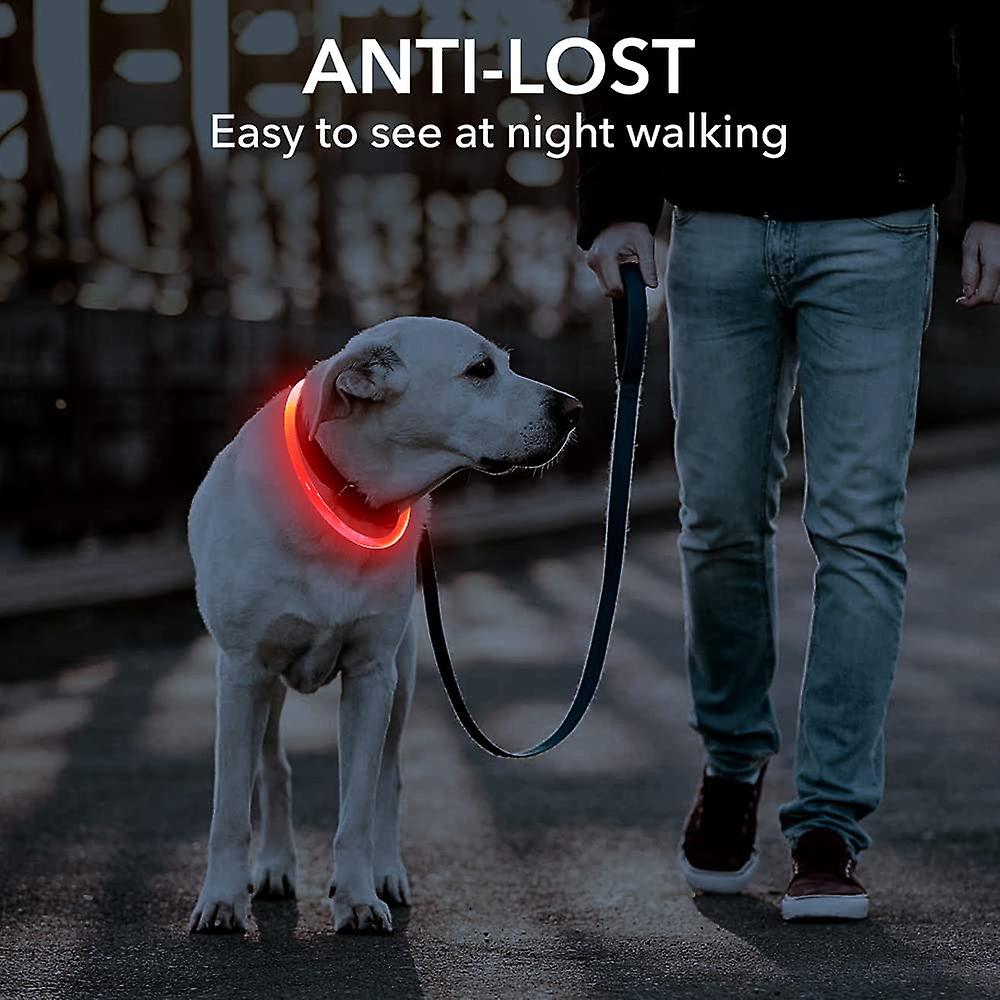 Foto 1 | Collar Led Para Perros Huoguo Safety Christmas Recargable - Venta Internacional.