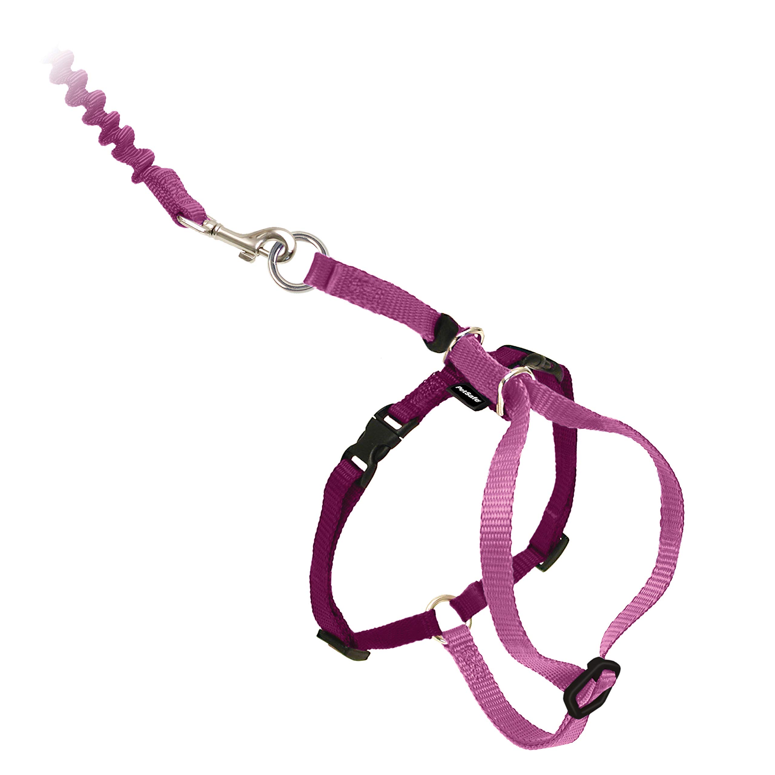 Arnés Y Correa Elástica Para Gatos Petsafe Come With Me Kitty - Venta Internacional.