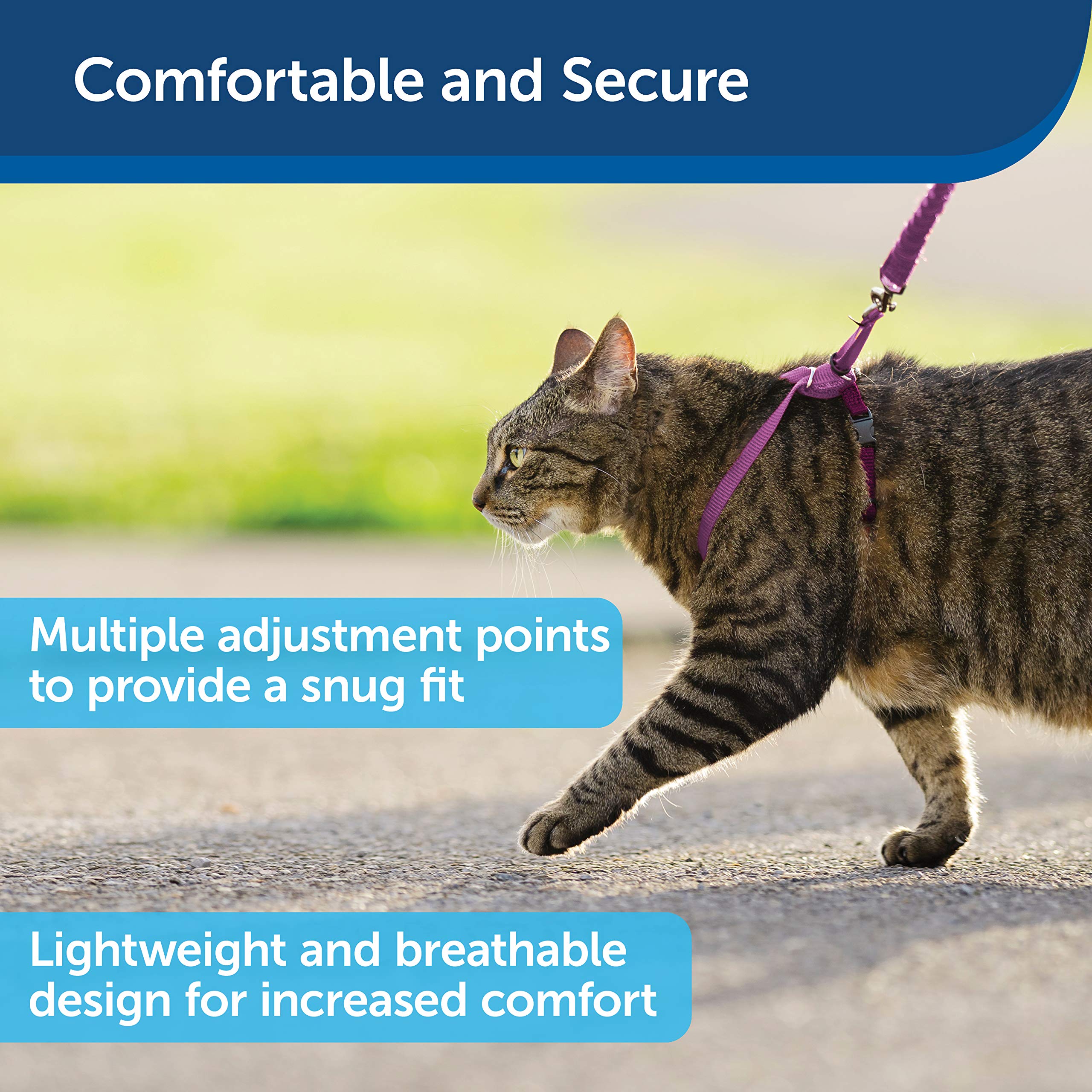 Foto 4 pulgar | Arnés Y Correa Elástica Para Gatos Petsafe Come With Me Kitty - Venta Internacional.