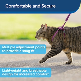 Foto 3 | Arnés Y Correa Elástica Para Gatos Petsafe Come With Me Kitty - Venta Internacional.