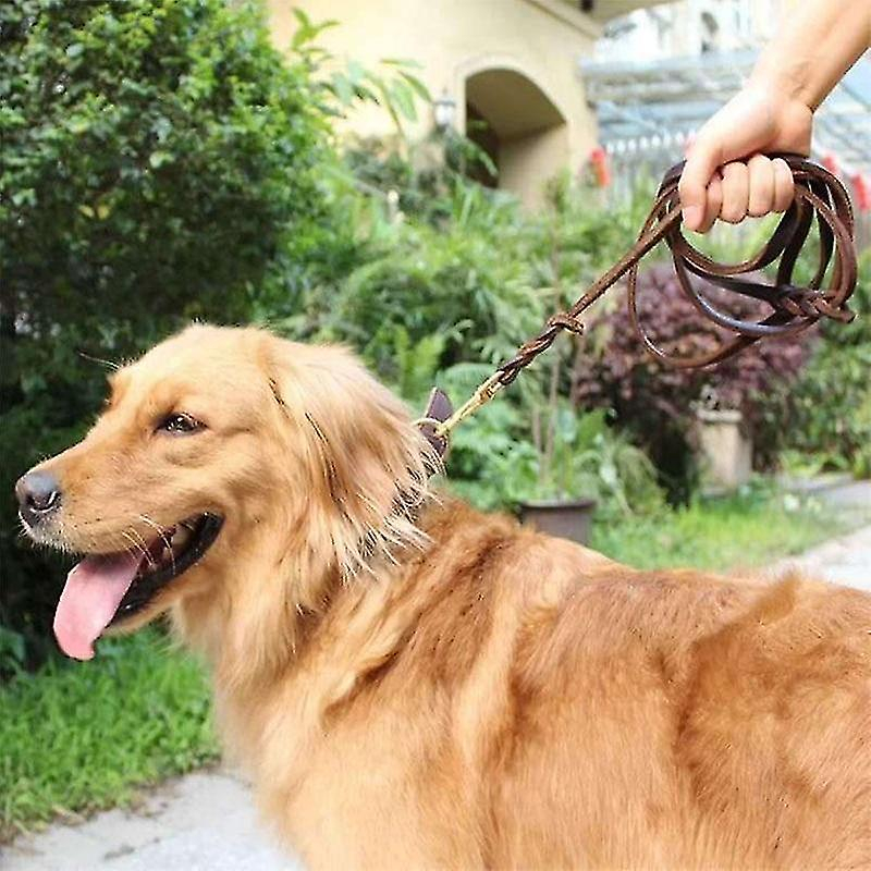 Foto 3 pulgar | Correa De Perro De Cuero Real Con Dispositivo De Rastreo Gps Para Perros Grandes - Venta Internacional.