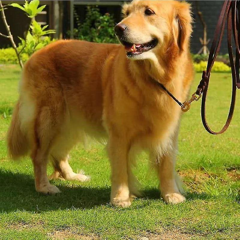 Foto 4 pulgar | Correa De Perro De Cuero Real Con Dispositivo De Rastreo Gps Para Perros Grandes - Venta Internacional.