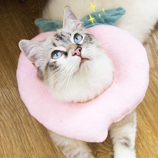 Foto 3 | Collar De Recuperación Huoguo Elizabethan Para Gatos, Tamaño Ajustable - Venta Internacional.
