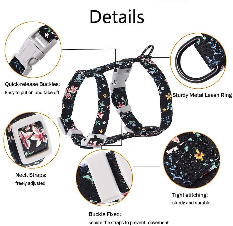 Foto 3 pulgar | Juego De Arnés Y Correa Para Gatos Para Pasear Al Aire Libre Para Mascotas Medianas - Venta Internacional.