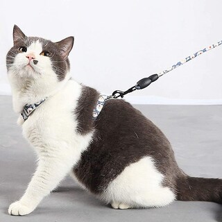 Foto 4 | Juego De Arnés Y Correa Para Gatos Para Pasear Al Aire Libre Para Mascotas Medianas - Venta Internacional.