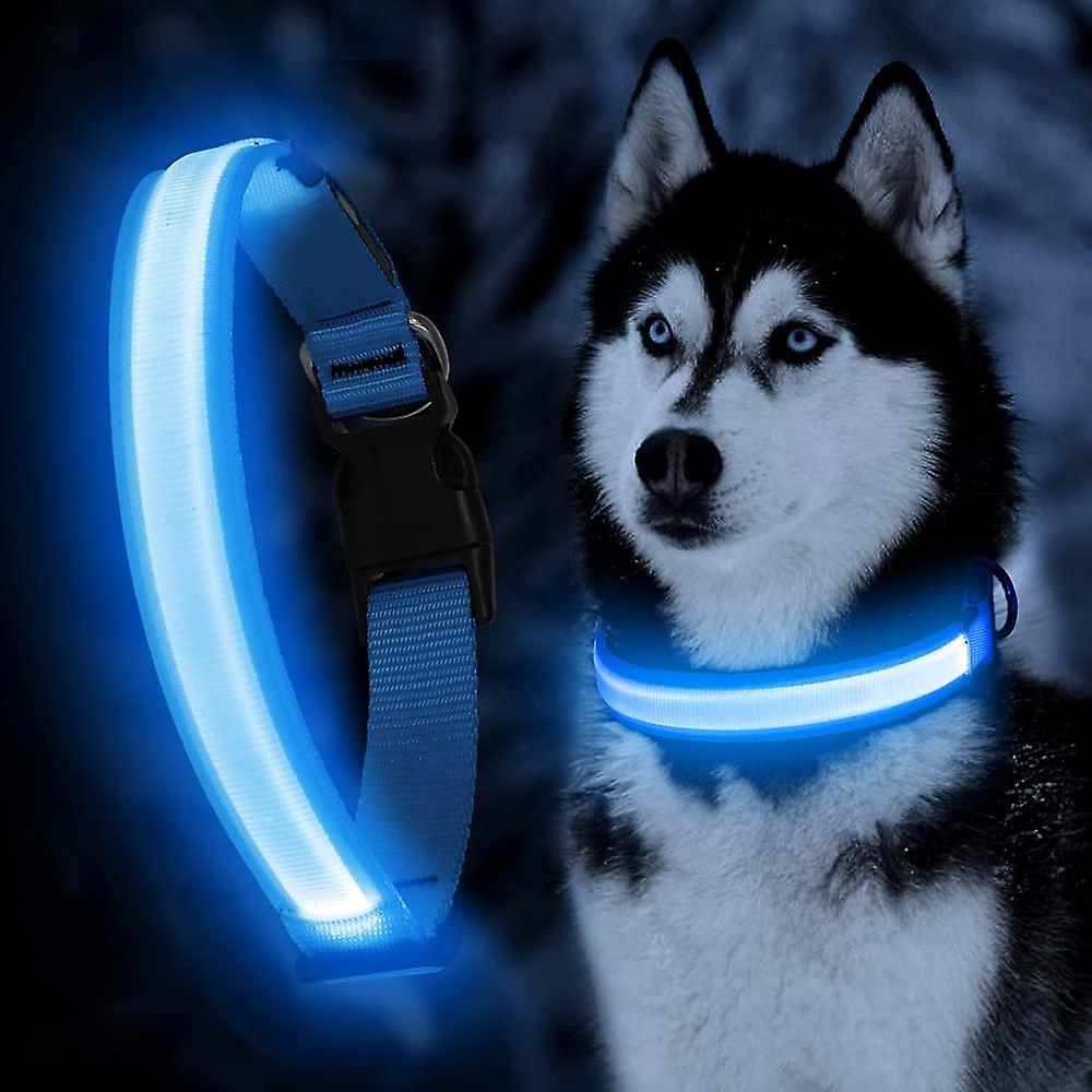 Foto 2 pulgar | Luces Para Perros Para Collares, Collar De Perro Con Iluminación Ajustable - Venta Internacional.