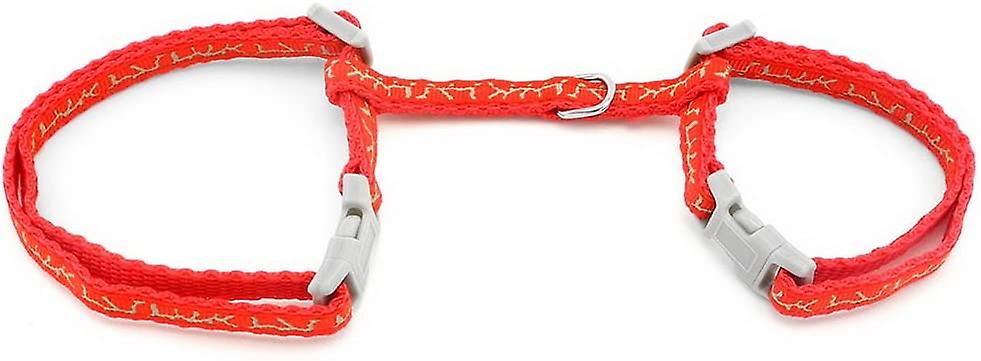 Arnés Halter Huoguo Para Perros Y Gatos Pequeños - Venta Internacional.