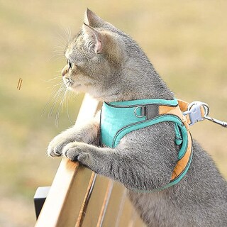 Foto 3 | Arnés Reflectante Para Gatos Huoguo Con Correa Ajustable - Venta Internacional.