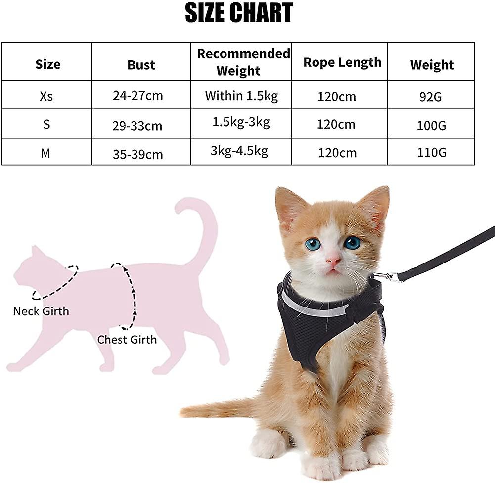 Foto 2 pulgar | Juego De Arneses Para Gatos Huoguo Con Correa De 120 Cm Y Rayas Reflectantes - Venta Internacional.