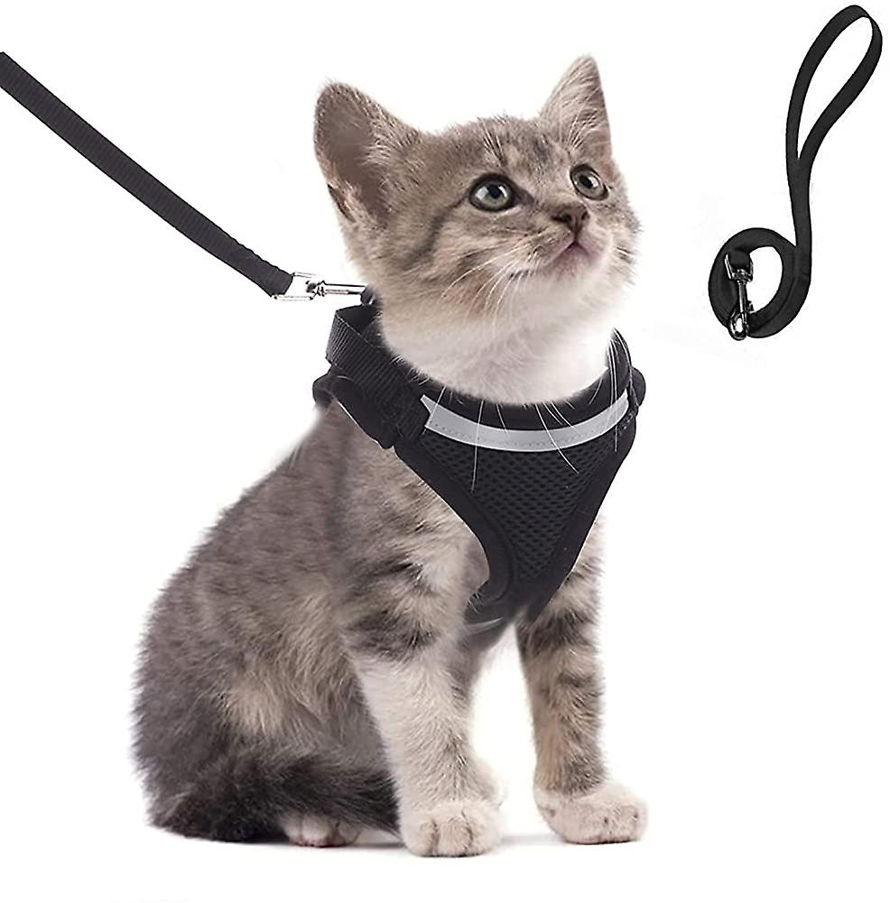 Foto 5 pulgar | Juego De Arneses Para Gatos Huoguo Con Correa De 120 Cm Y Rayas Reflectantes - Venta Internacional.