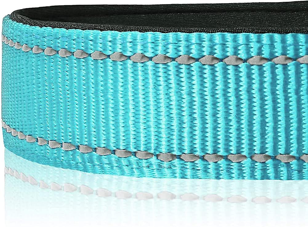 Foto 4 pulgar | Collar Para Perro Huoguo, Ajustable, Reflectante, Acolchado, Suave, De Nailon - Venta Internacional.