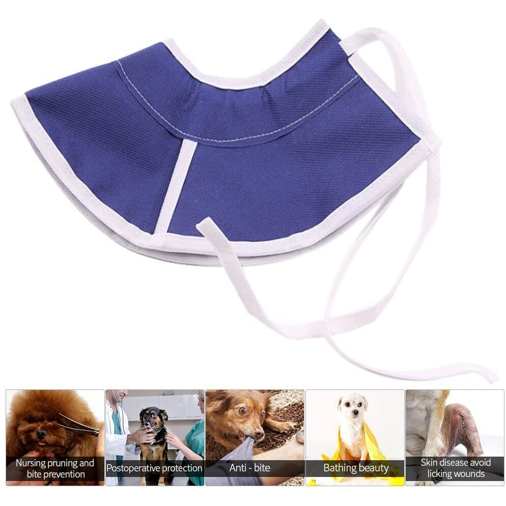 Foto 5 pulgar | Collar De Recuperación Asocea Ajustable Para Perros Y Gatos - Venta Internacional.